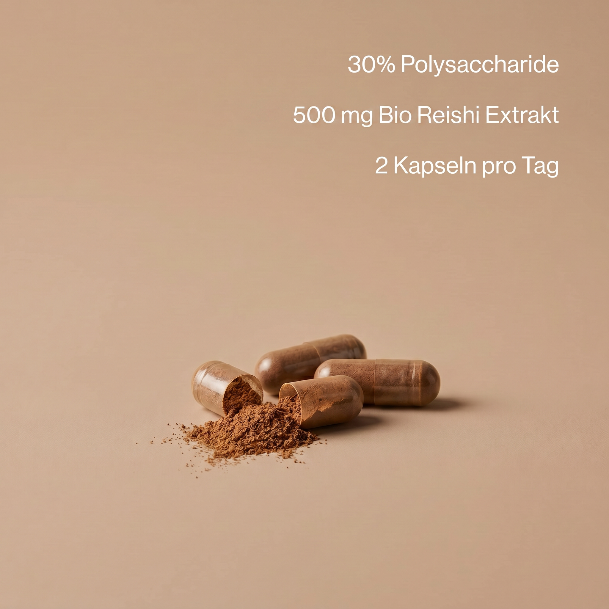 Bio Reishi Extrakt Kapseln