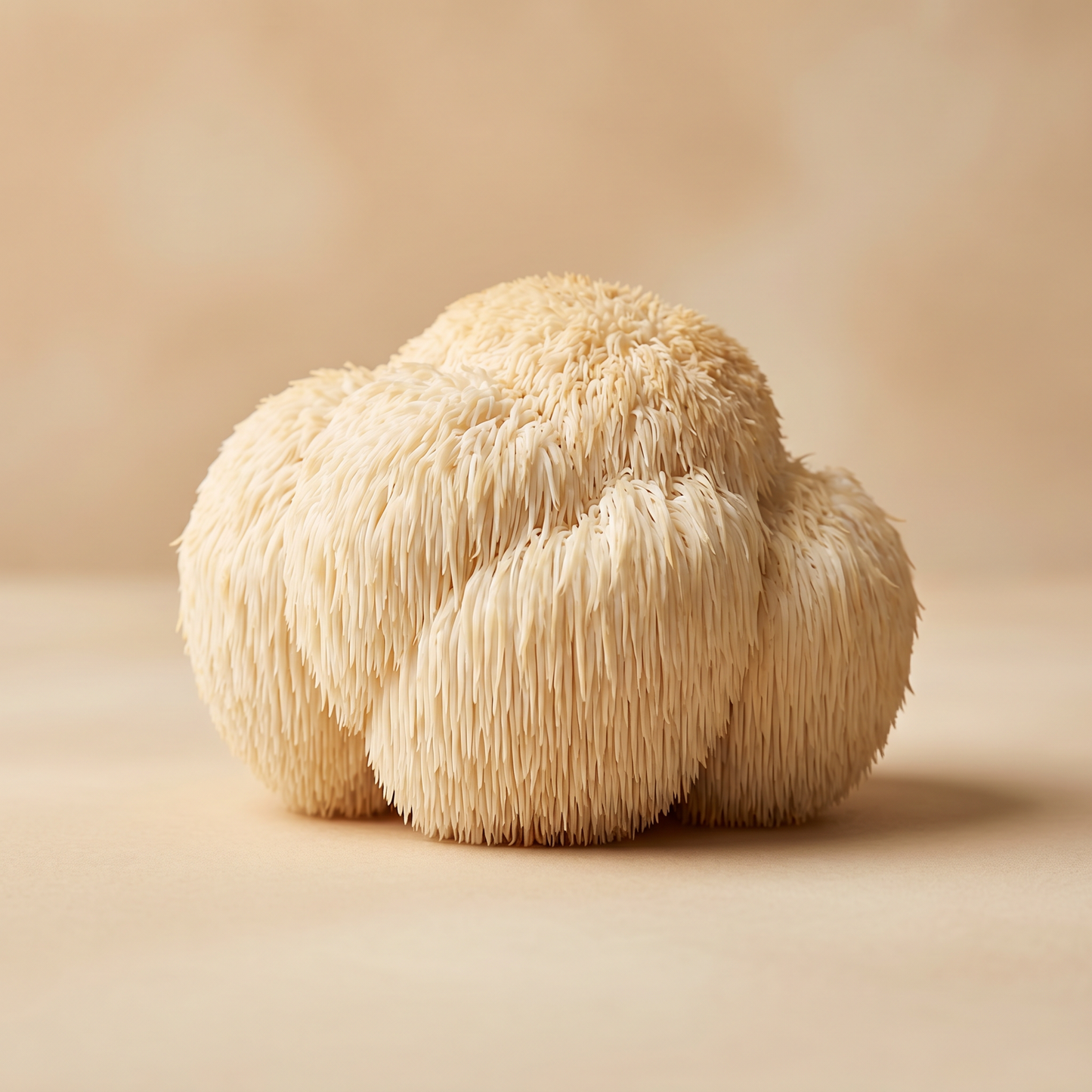 Bio Cordyceps Extrakt Kapseln