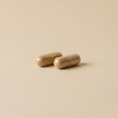 Bio Cordyceps Extrakt Kapseln
