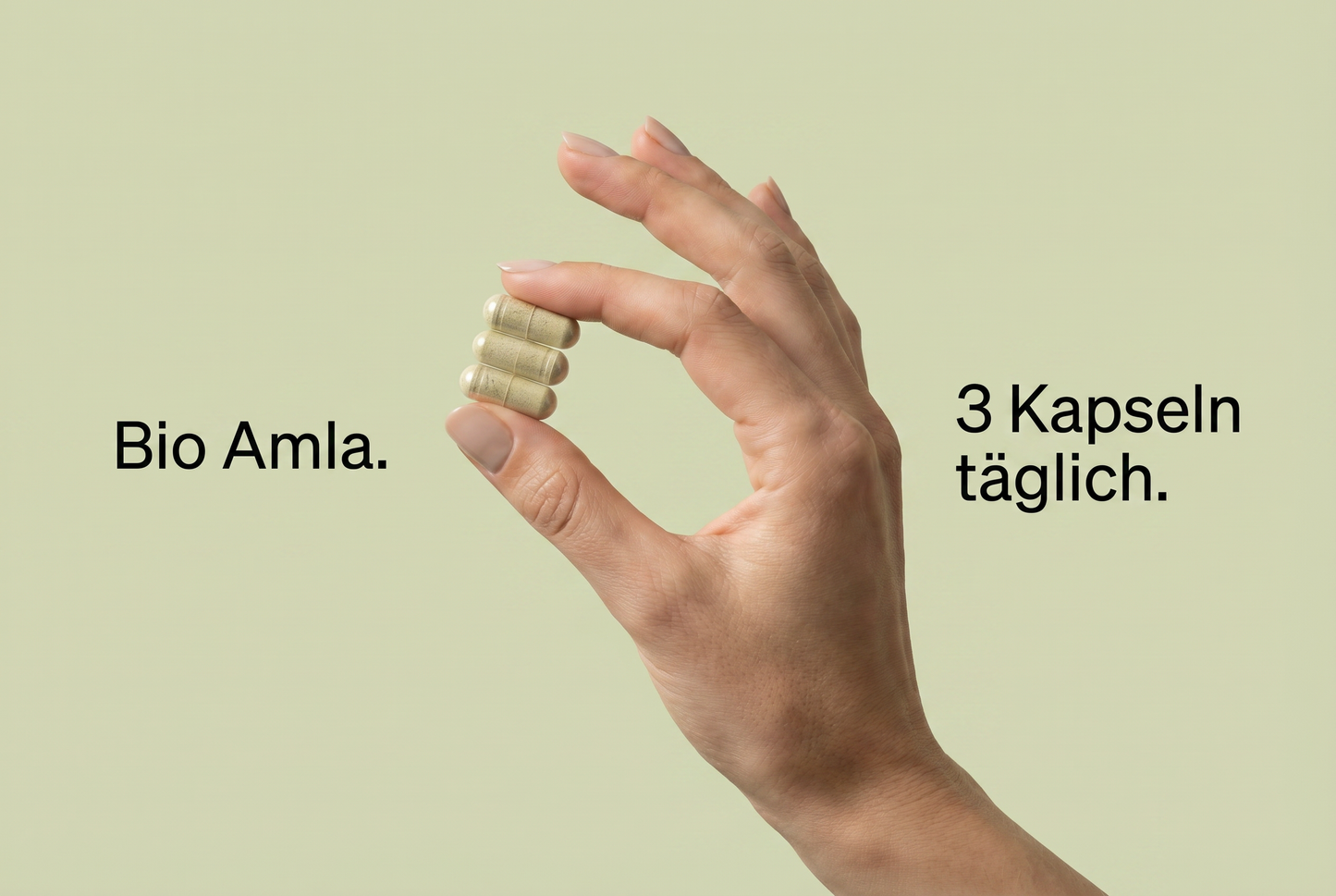 Bio Amla Pulver Kapseln